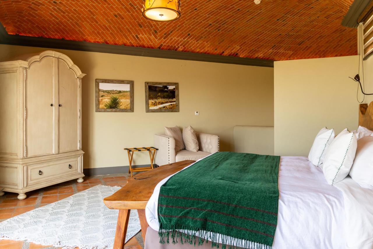 Hotel Camino De Vinos Гуанахуато Екстериор снимка